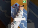 Folge der Linie