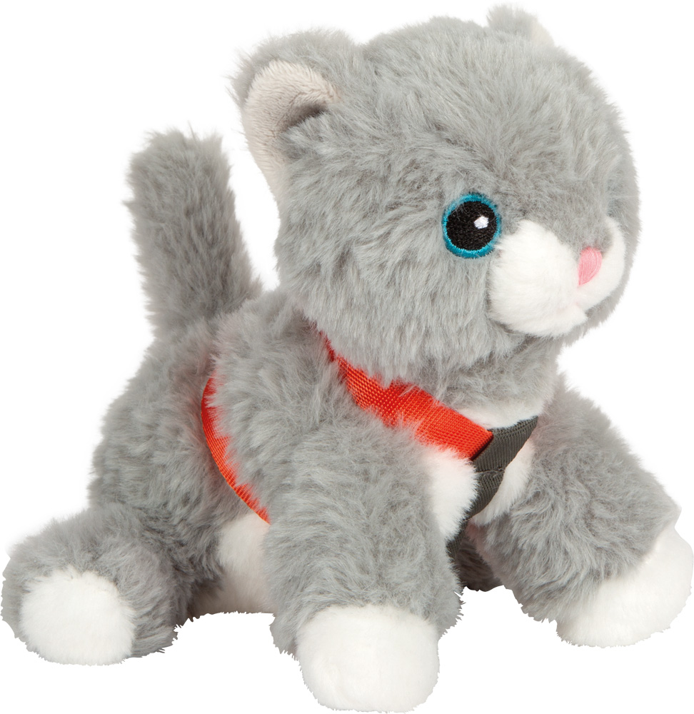 Katze mit Tasche und Pflege-Set