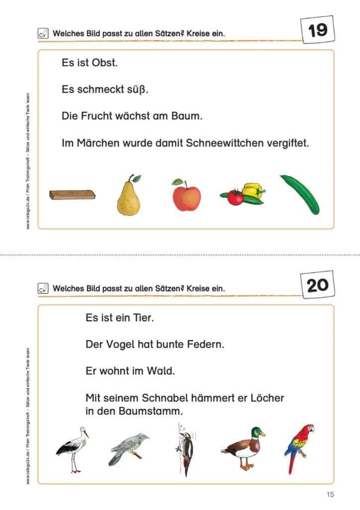 Materialpaket: Trainingshefte Lesen PDF