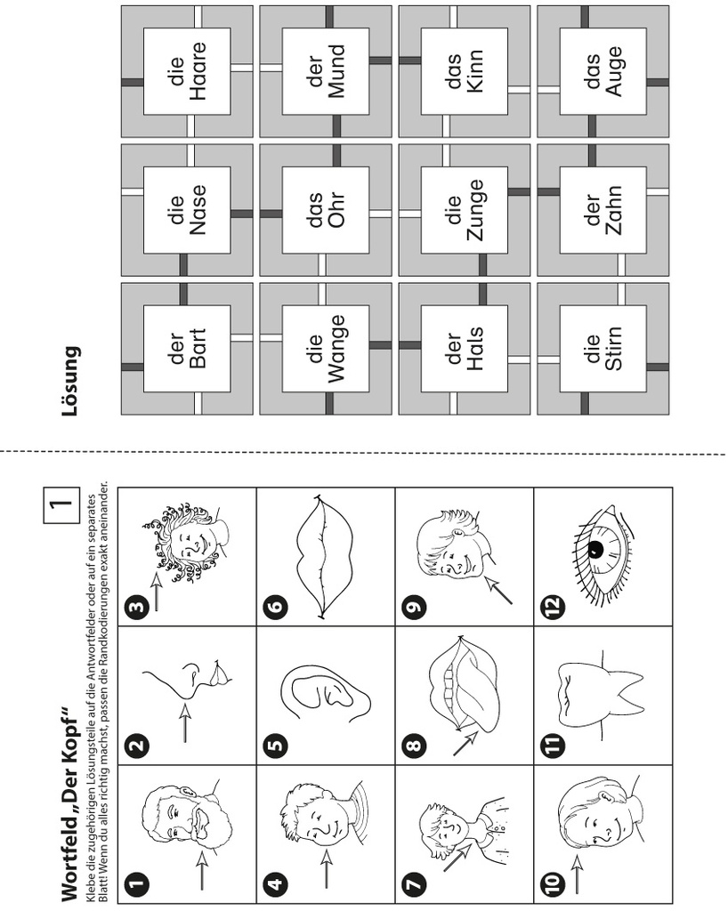 Erste Wörter in Wortfeldern PDF