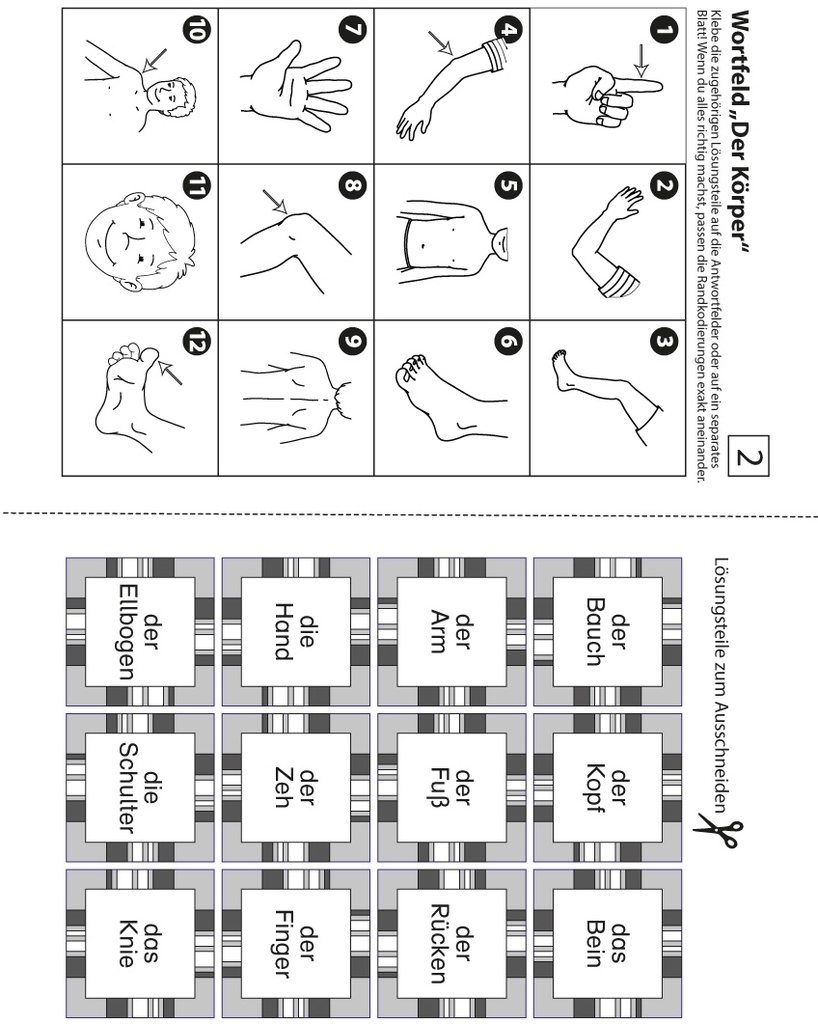 Erste Wörter in Wortfeldern PDF