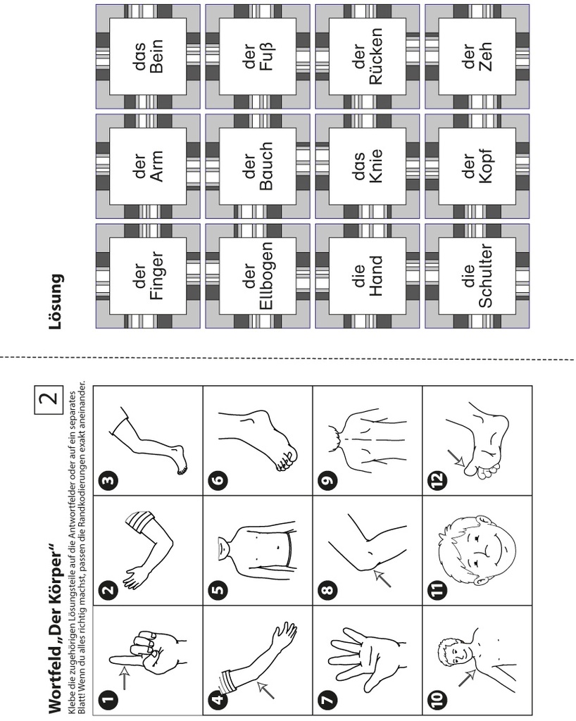 Erste Wörter in Wortfeldern PDF